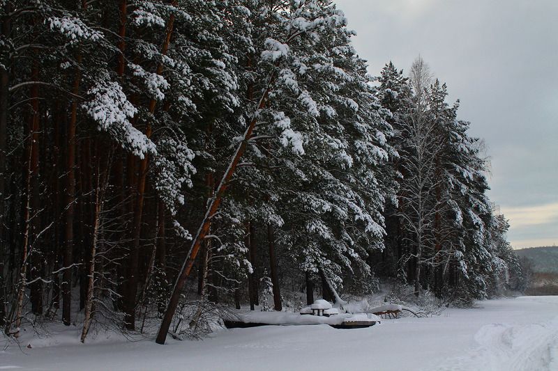 зима, январь, сибирь, россия ... фото превью
