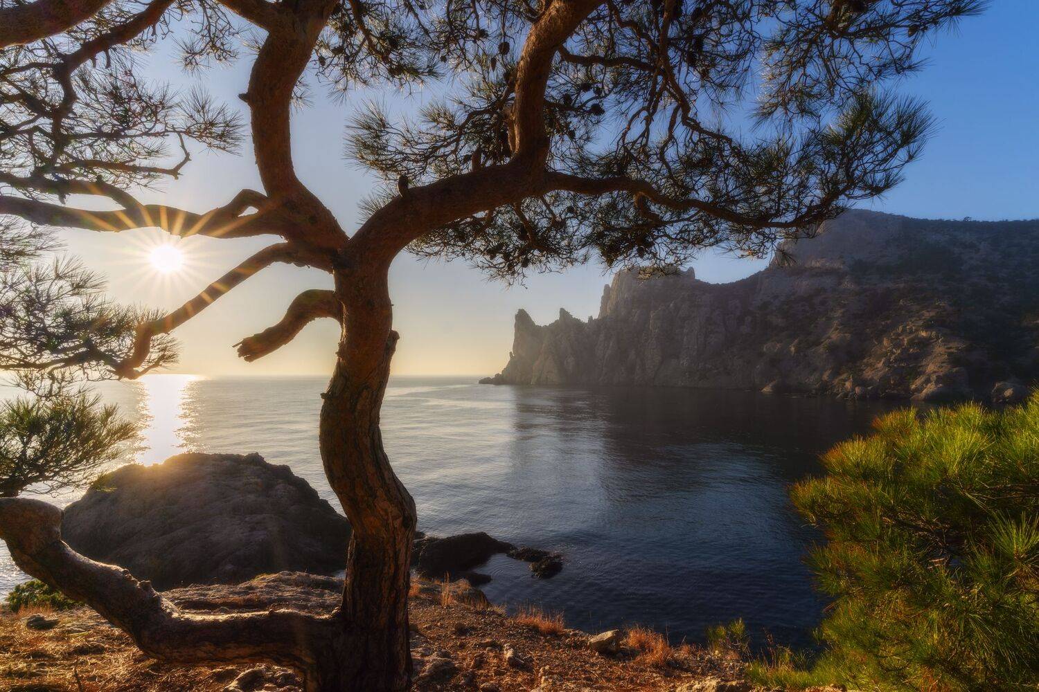 , Юлия Мальцева