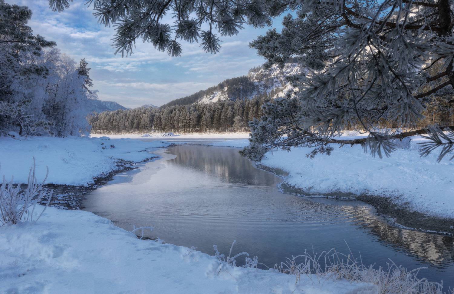 алтай, аскат, катунь, распублика алтай, Галина Хвостенко