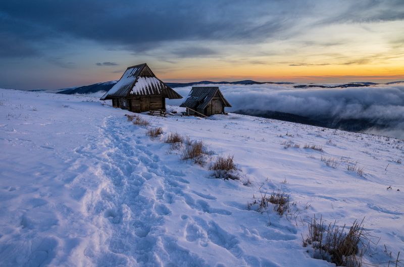 winter, bieszczady, tree, forest, mountains, snow, frozen Połonina Wetlińska фото превью