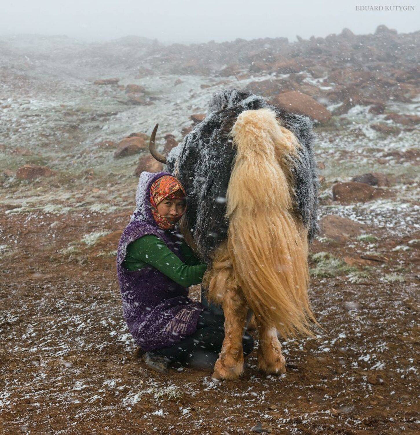 памир, Кутыгин Эдуард