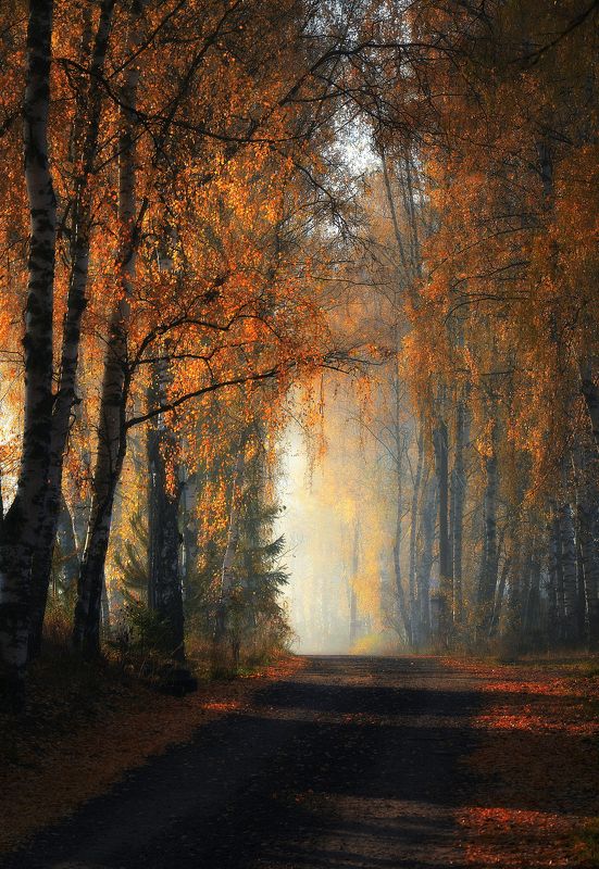 Утром