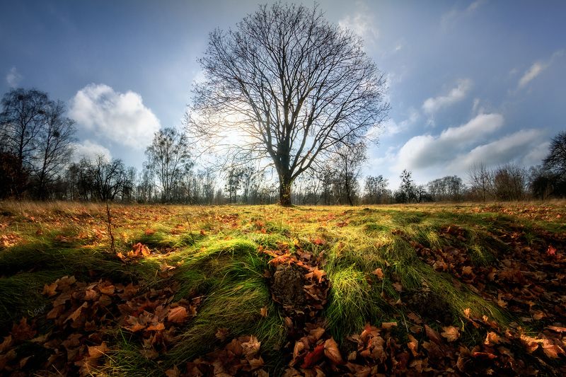 Беларусь Позавчера фото превью