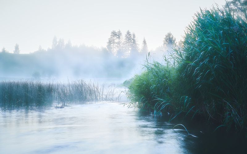 Постоим в тумане, помолчим? фото превью