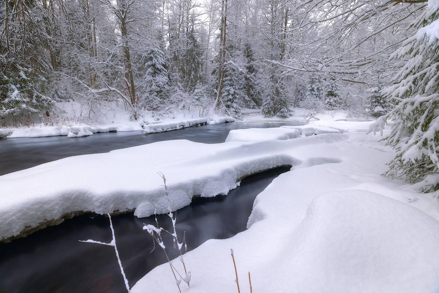 зима январь снег сугробы река лес мороз, Скороходов Константин