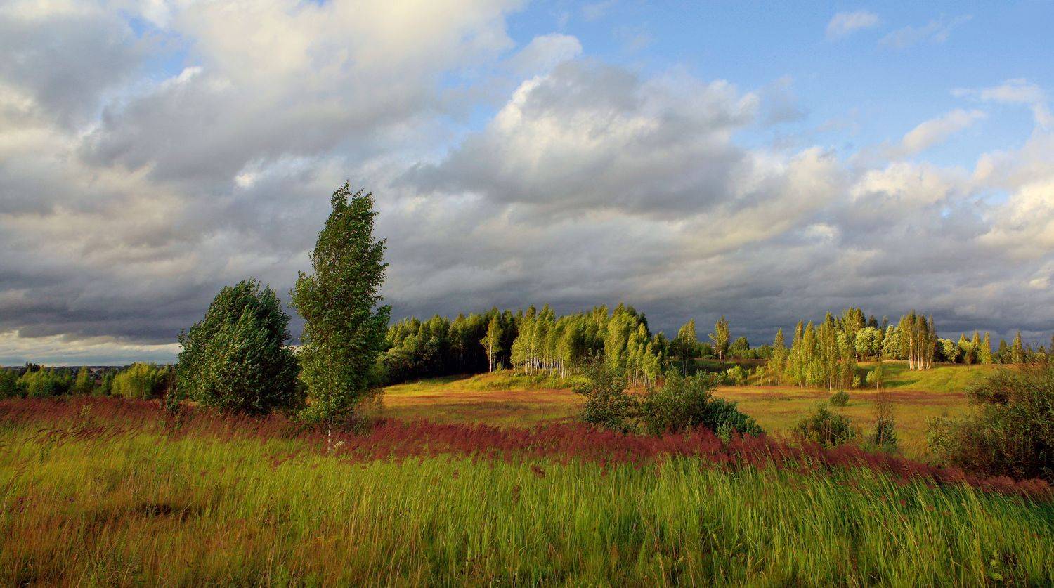 лето , поле , облака , Александр Свистков