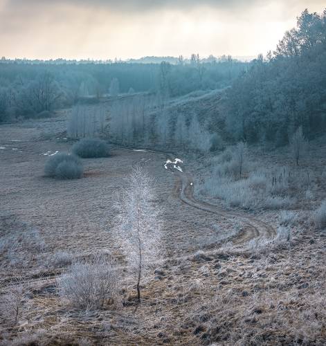 Дорога Левитана