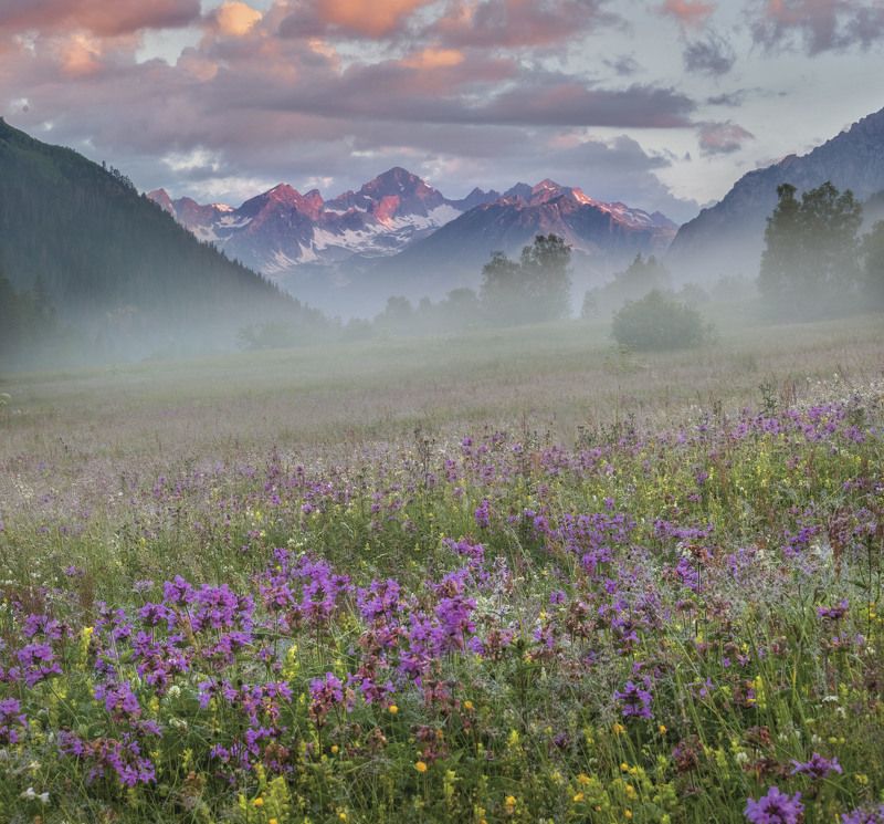 Утренний Домбай. фото превью