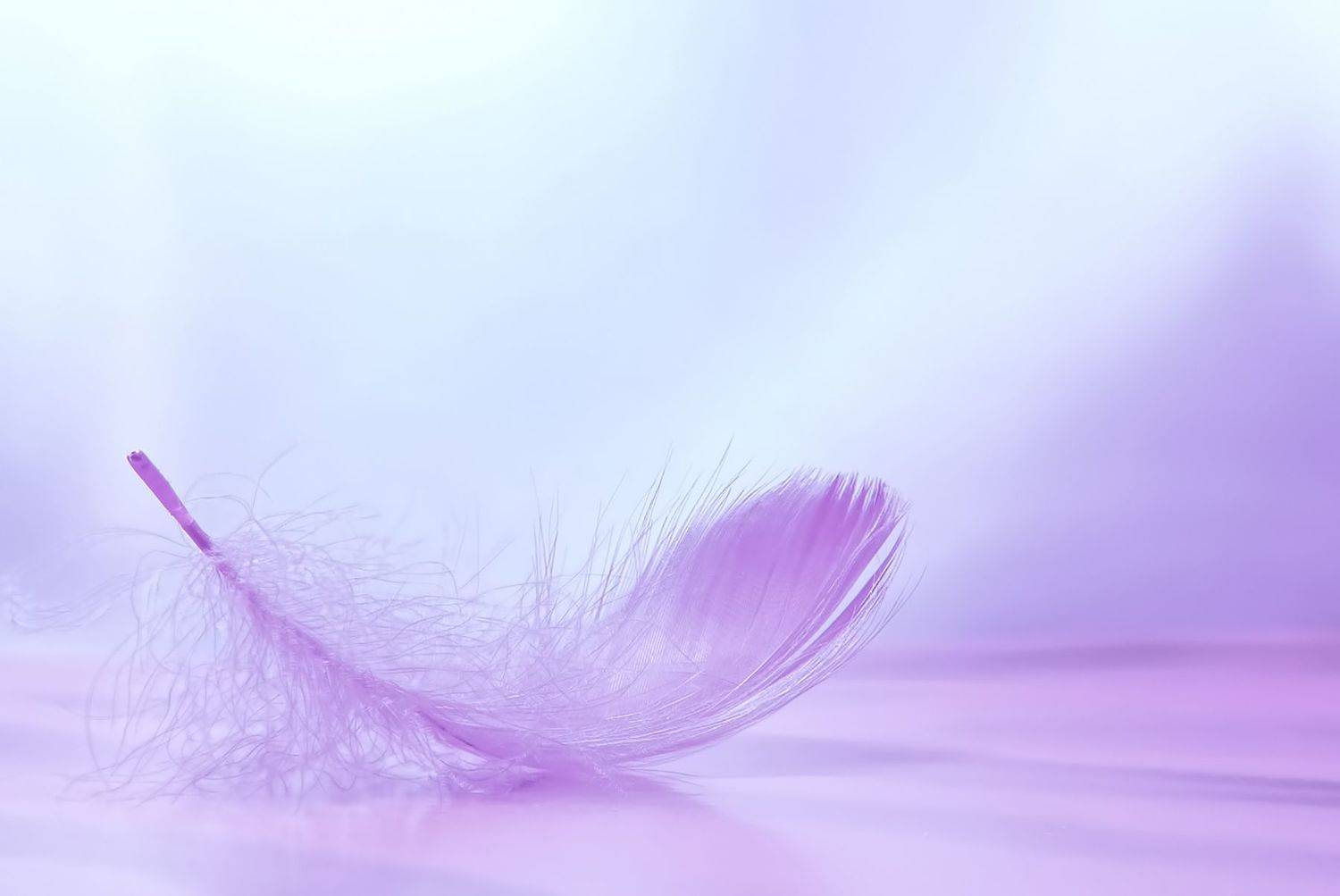 lightness, pink, beauty, Jacek Kasprzyk