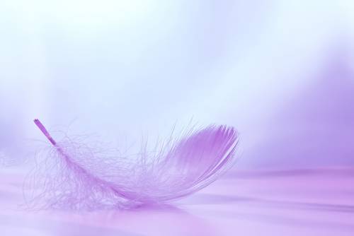 Lightness