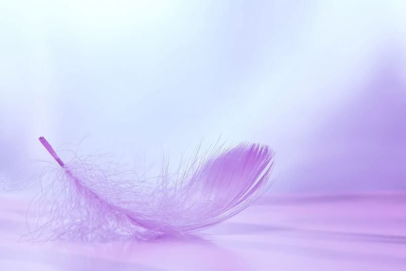 lightness, pink, beauty Lightness фото превью