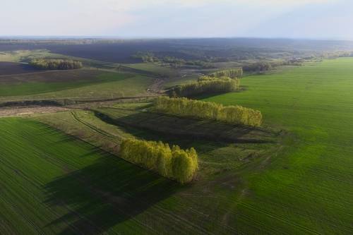 Весна в Тульской области