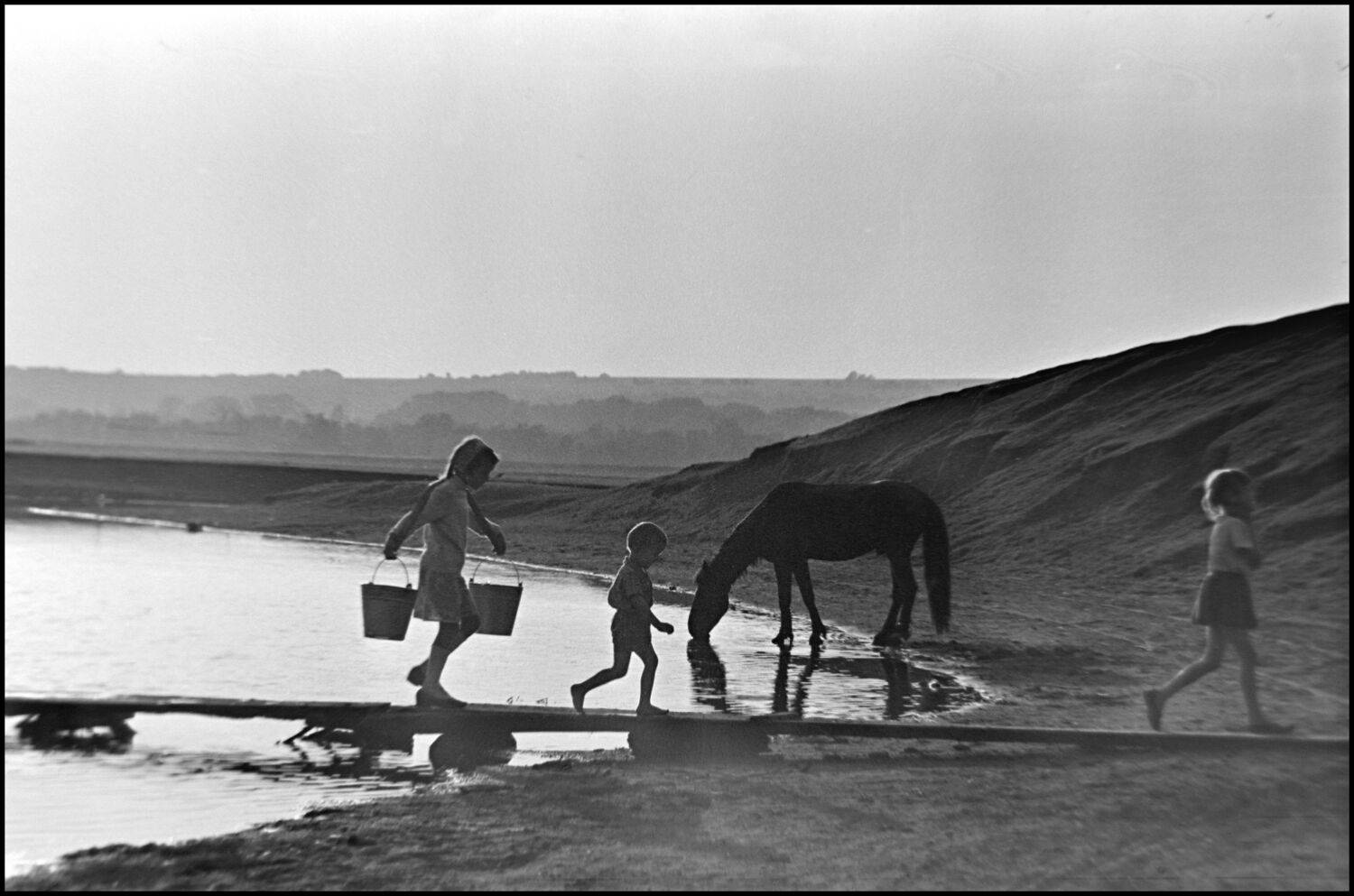 , Меднов Влад
