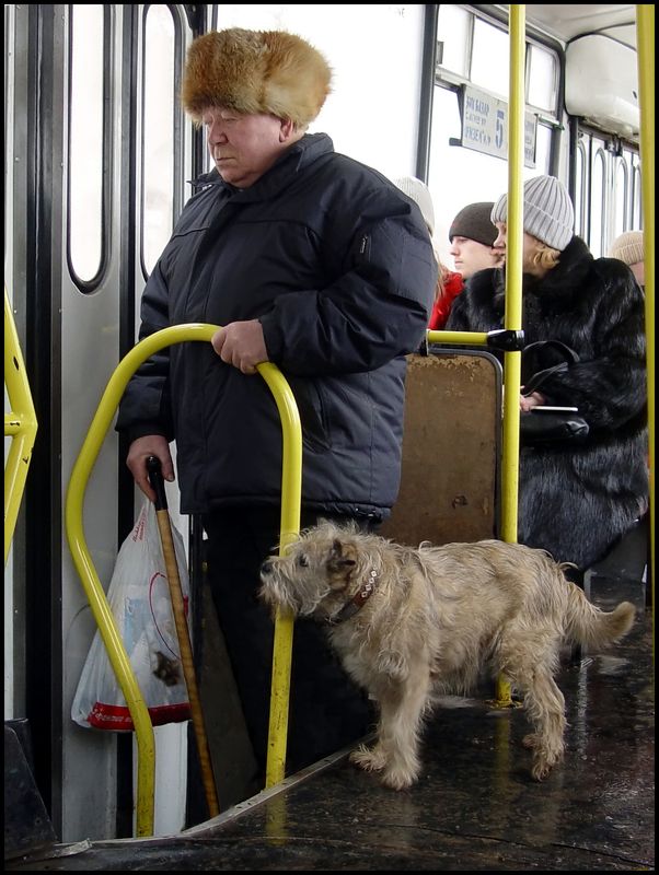 Попутчики фото превью