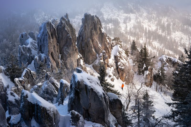 Исследователь фото превью