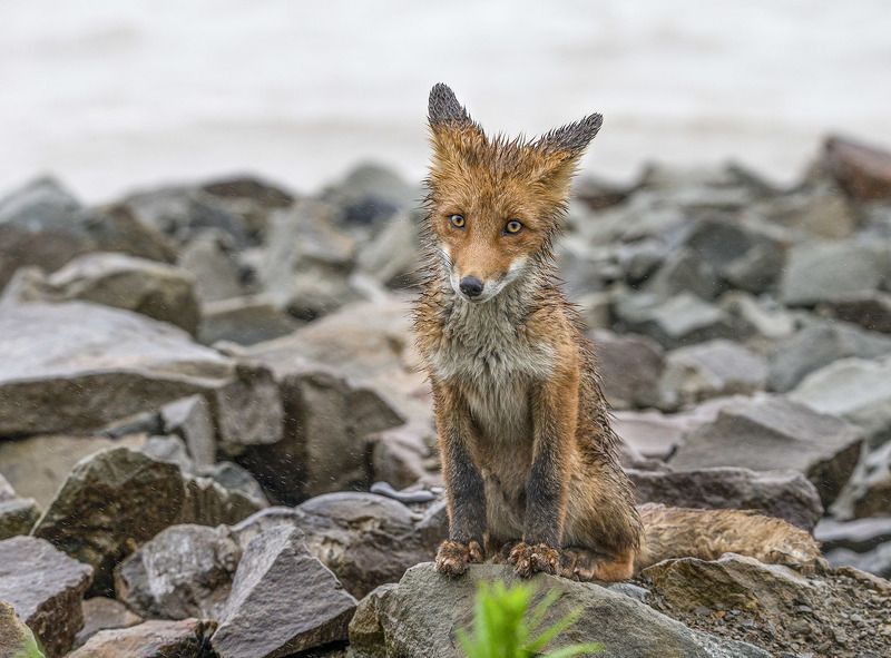 Вот и закончилось детство фото превью