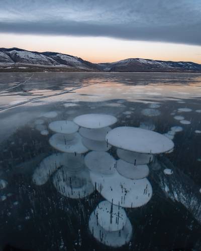 Буль буль