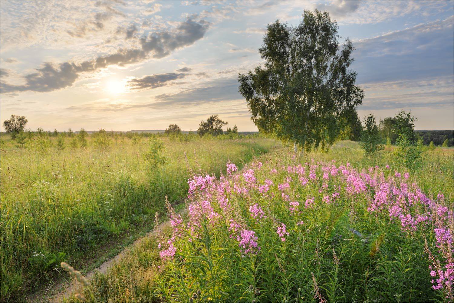 , Анатолий Гулин