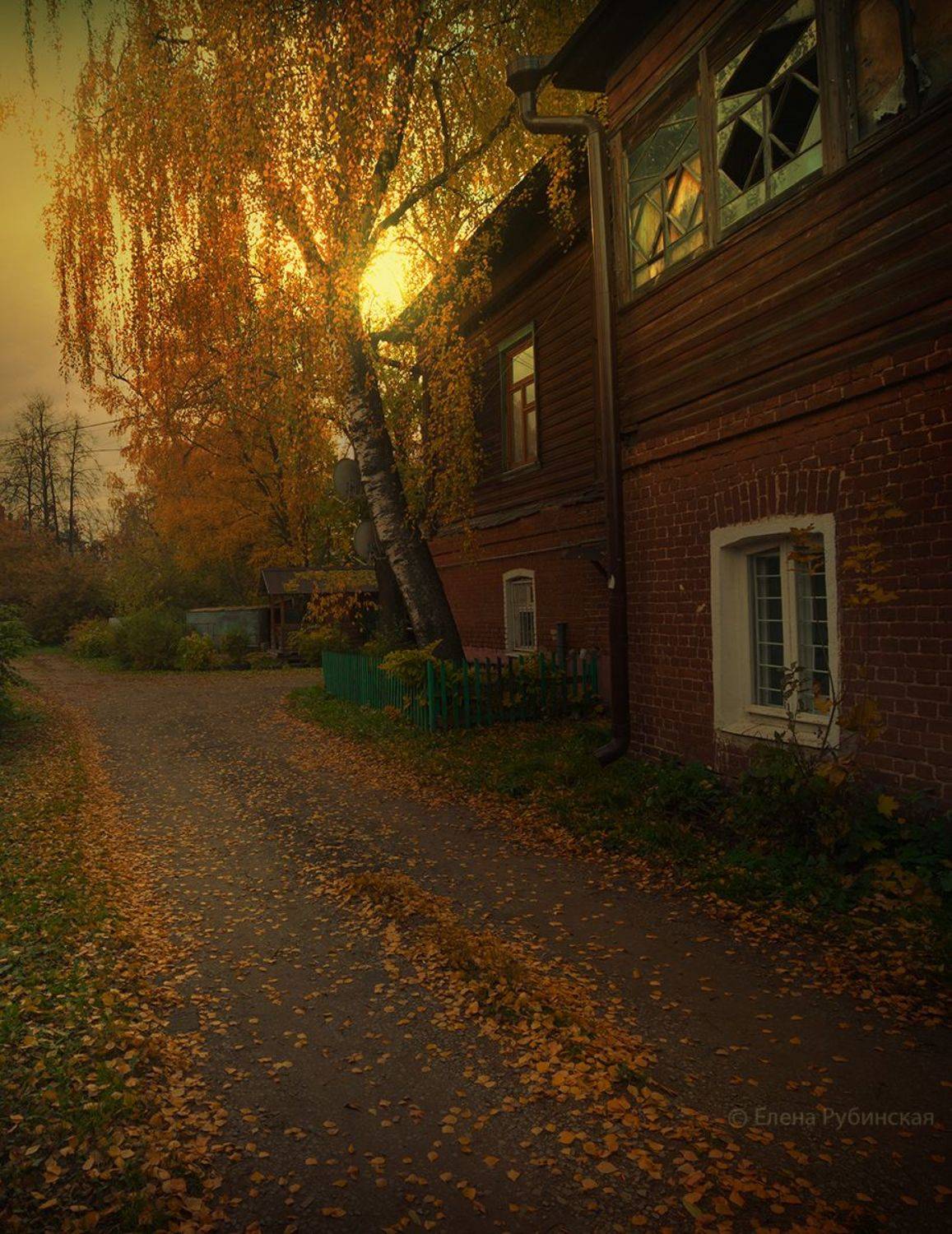 кострома, Елена Рубинская