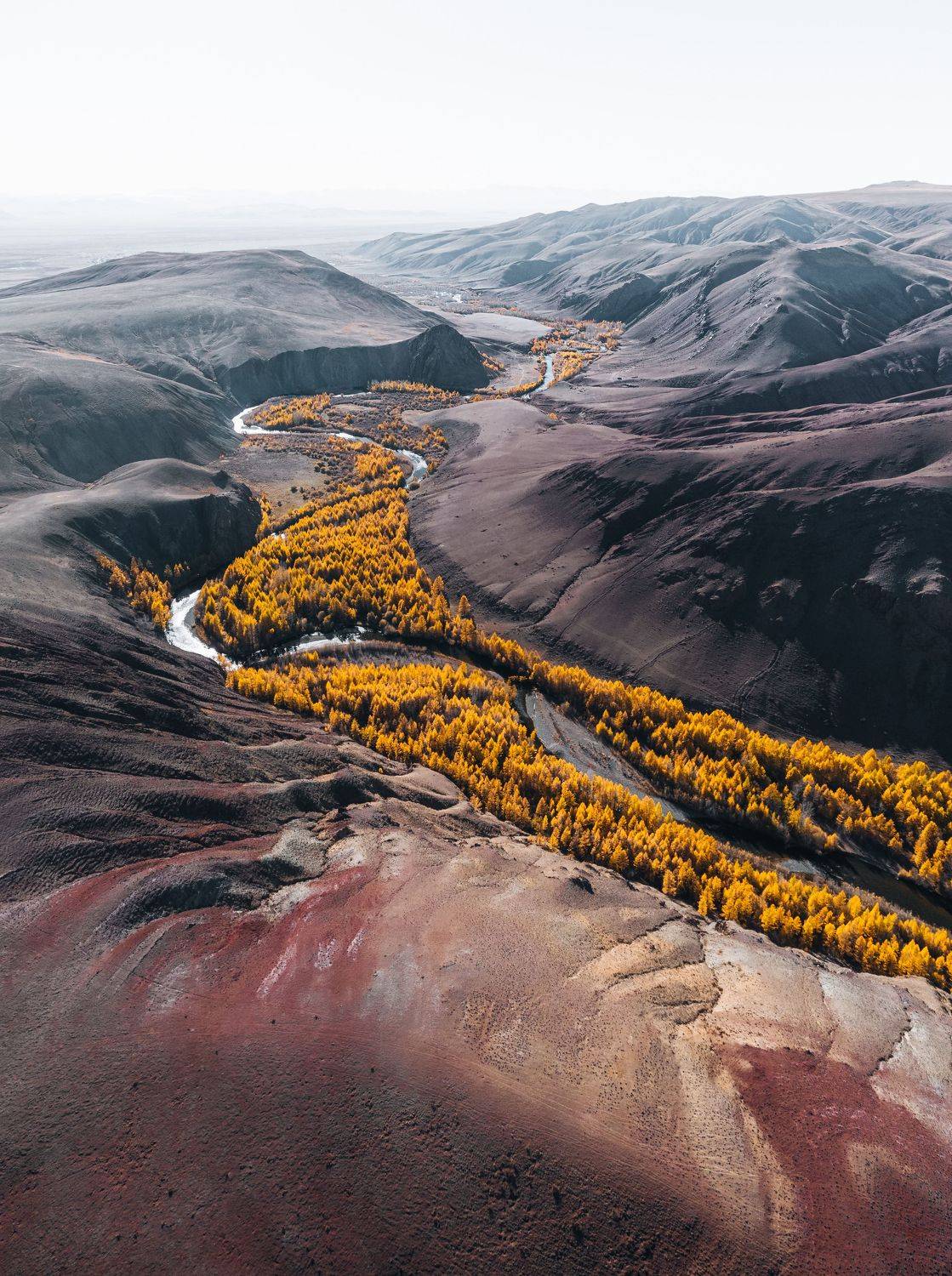 кызыл-шин, осень, алтай, altai, кокоря, dji, Raspopov Andrey