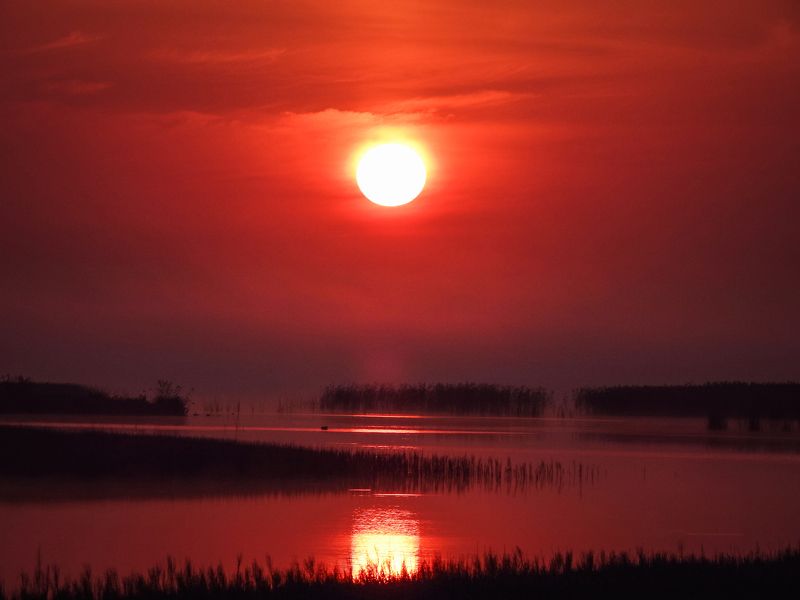 Ясное - красное фото превью