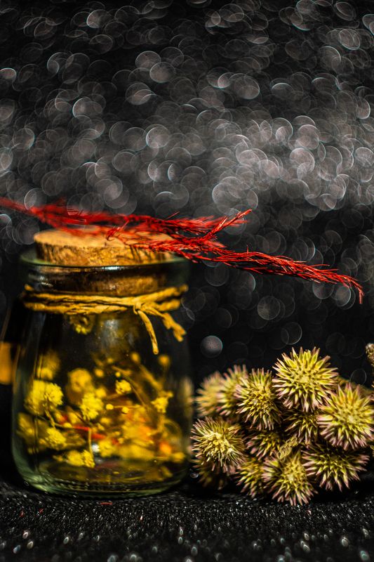 магия боке фото превью