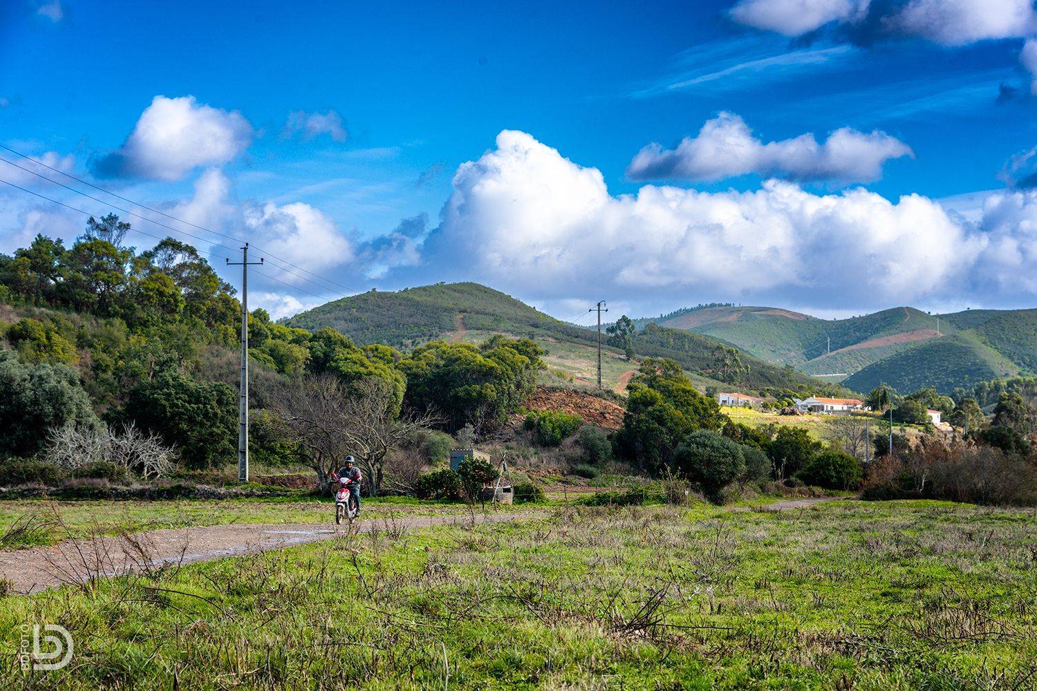 , Дмитрий Бакулин