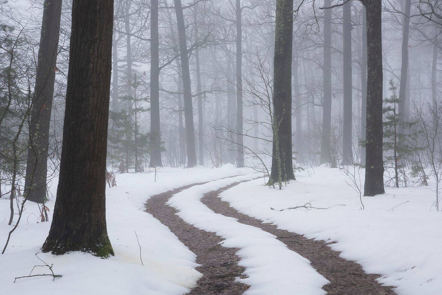 , Захаров Дмитрий