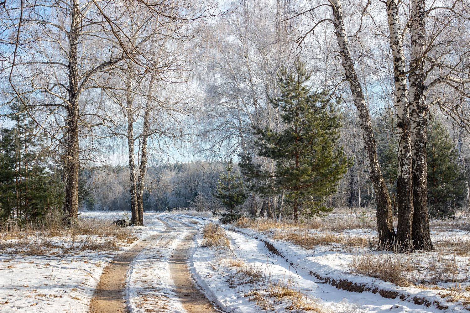 лес, деревья, зима, иней, природа, Востриков Руслан
