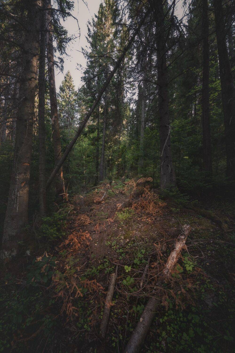 , Котов Андрей