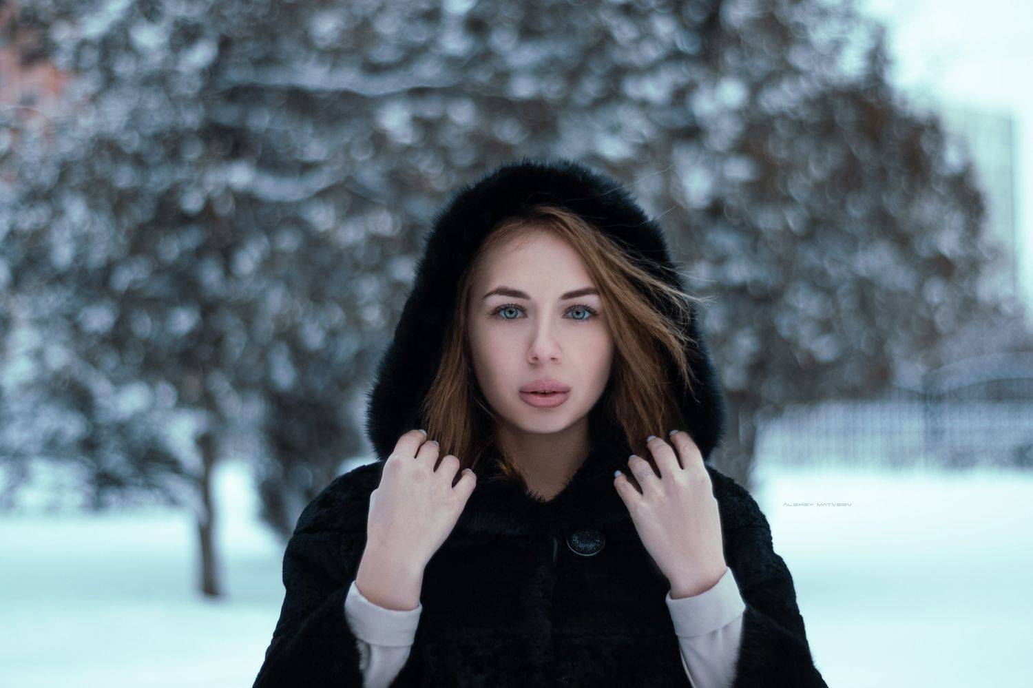 , Матвеев Алексей