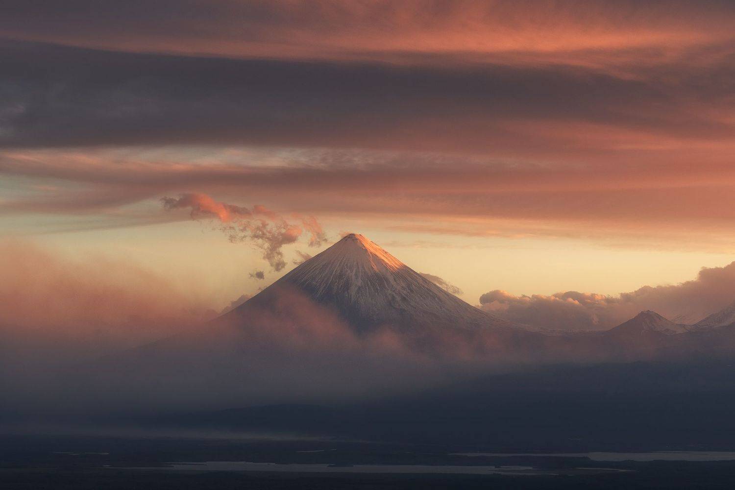 , Политова Анна