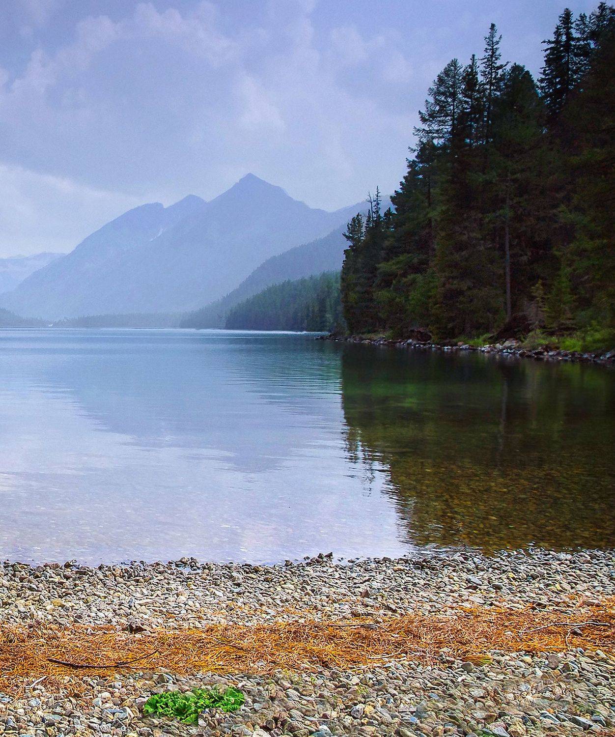 алтай, озеро, мультинское, вода, горы, лес, берег, Чичкин Валерий