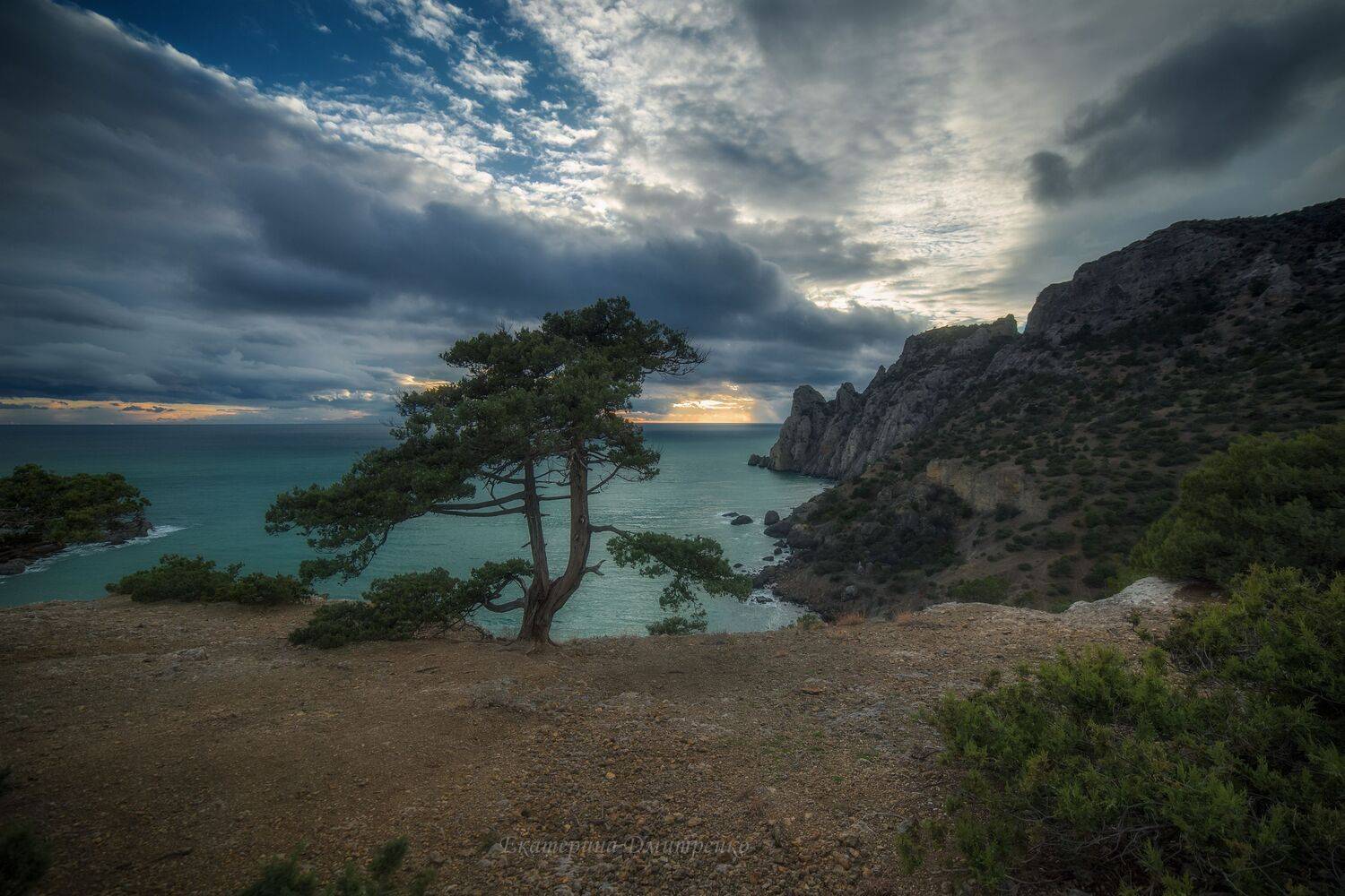 крым, пейзаж, новый свет, судак, зима, море, crimea, landscape, можжевеловая роща, Дмитренко Екатерина