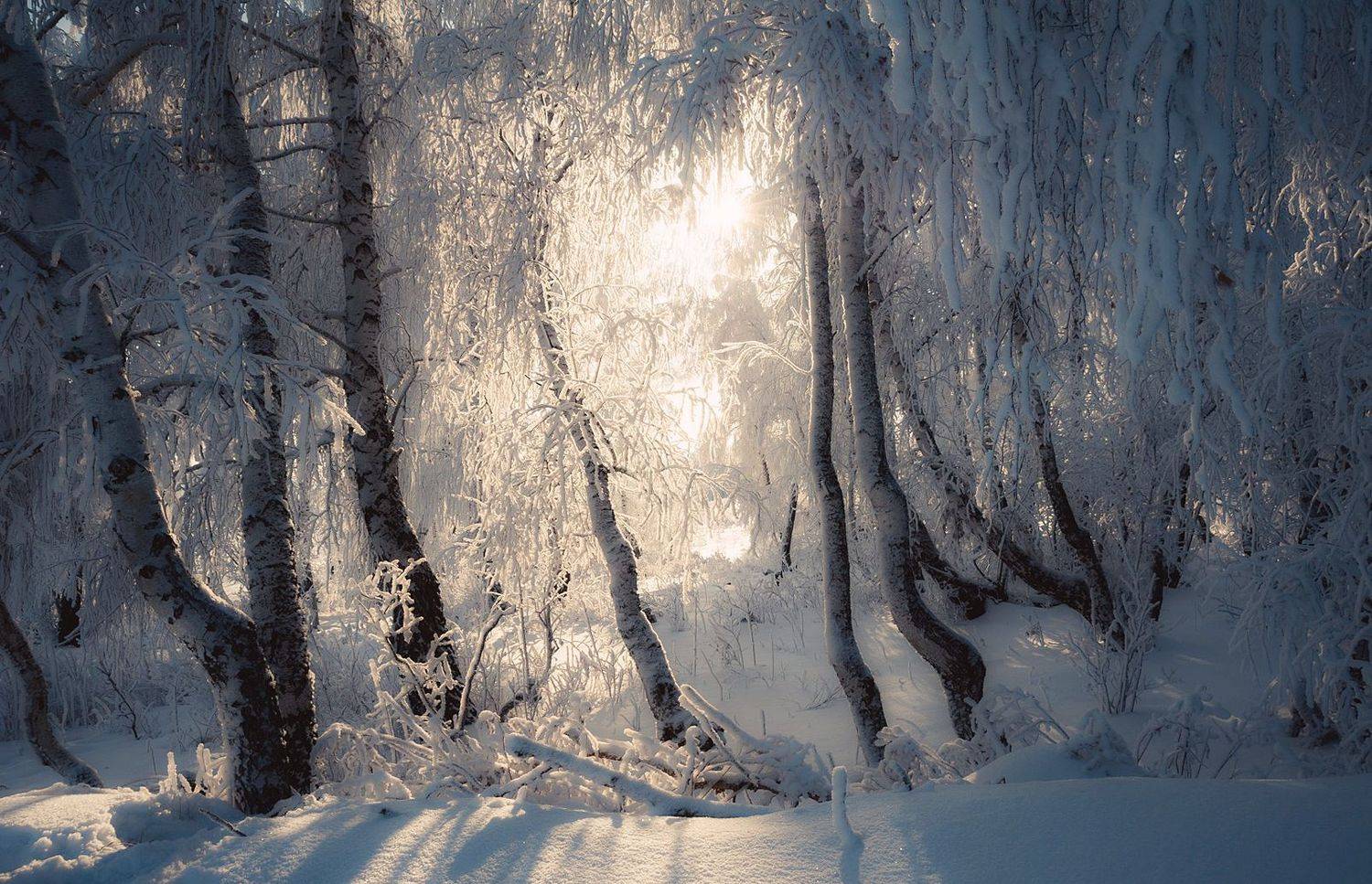 , Шустиков Дмитрий