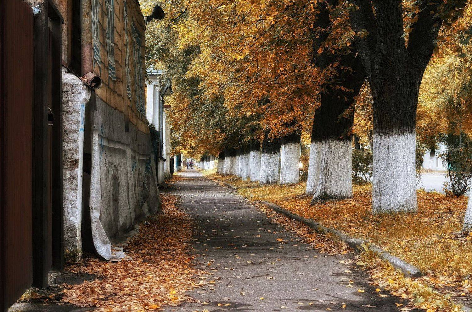 , Сергей Клапишевский