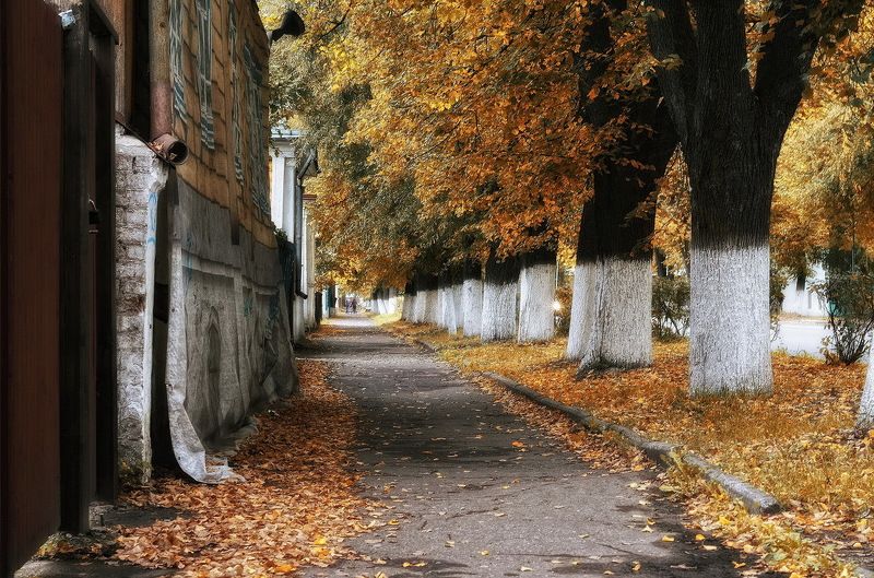 Суздаль.....Будни провинциального городка... фото превью