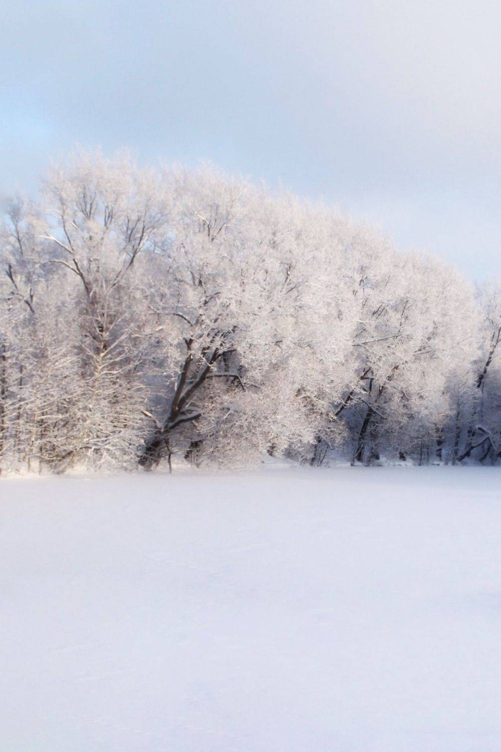 зима, winter, природа, nature, landscape, пейзаж, лес, forest, снег, snow, Julia Kaissa
