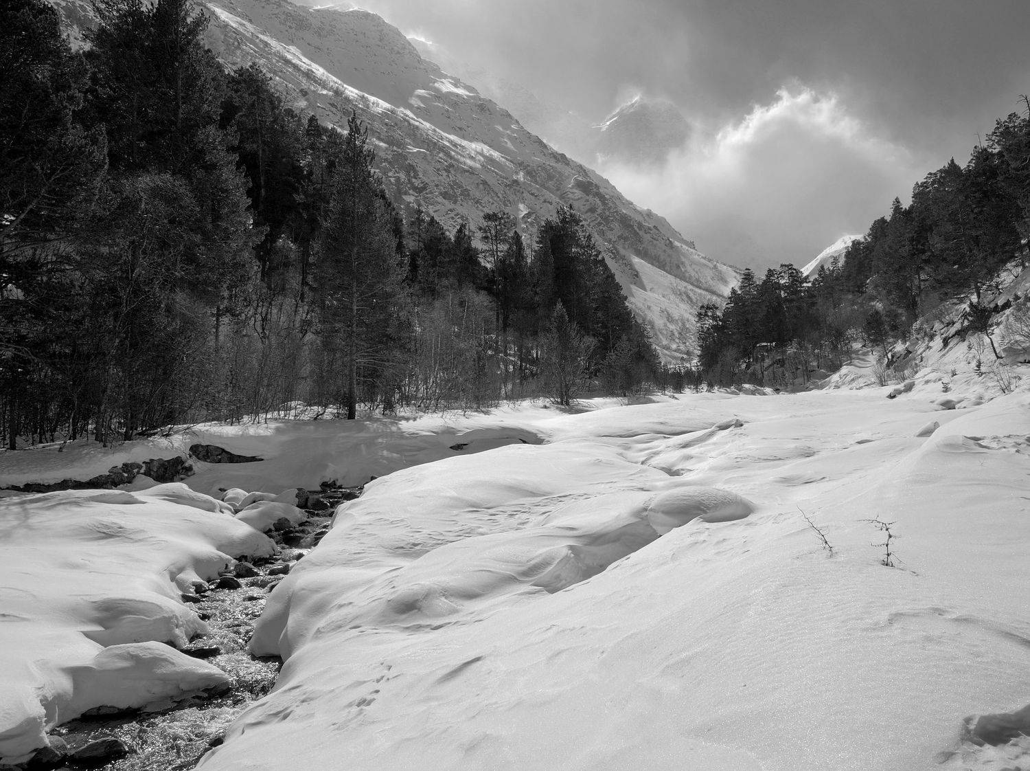 , Борис Леваков