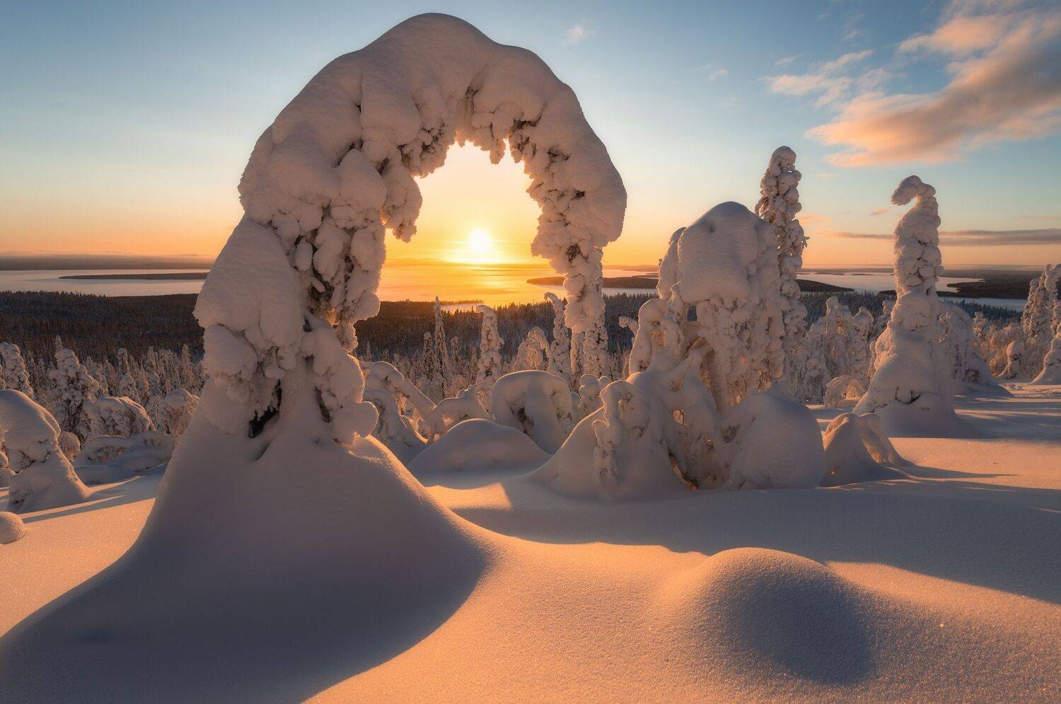 , Виталий Истомин