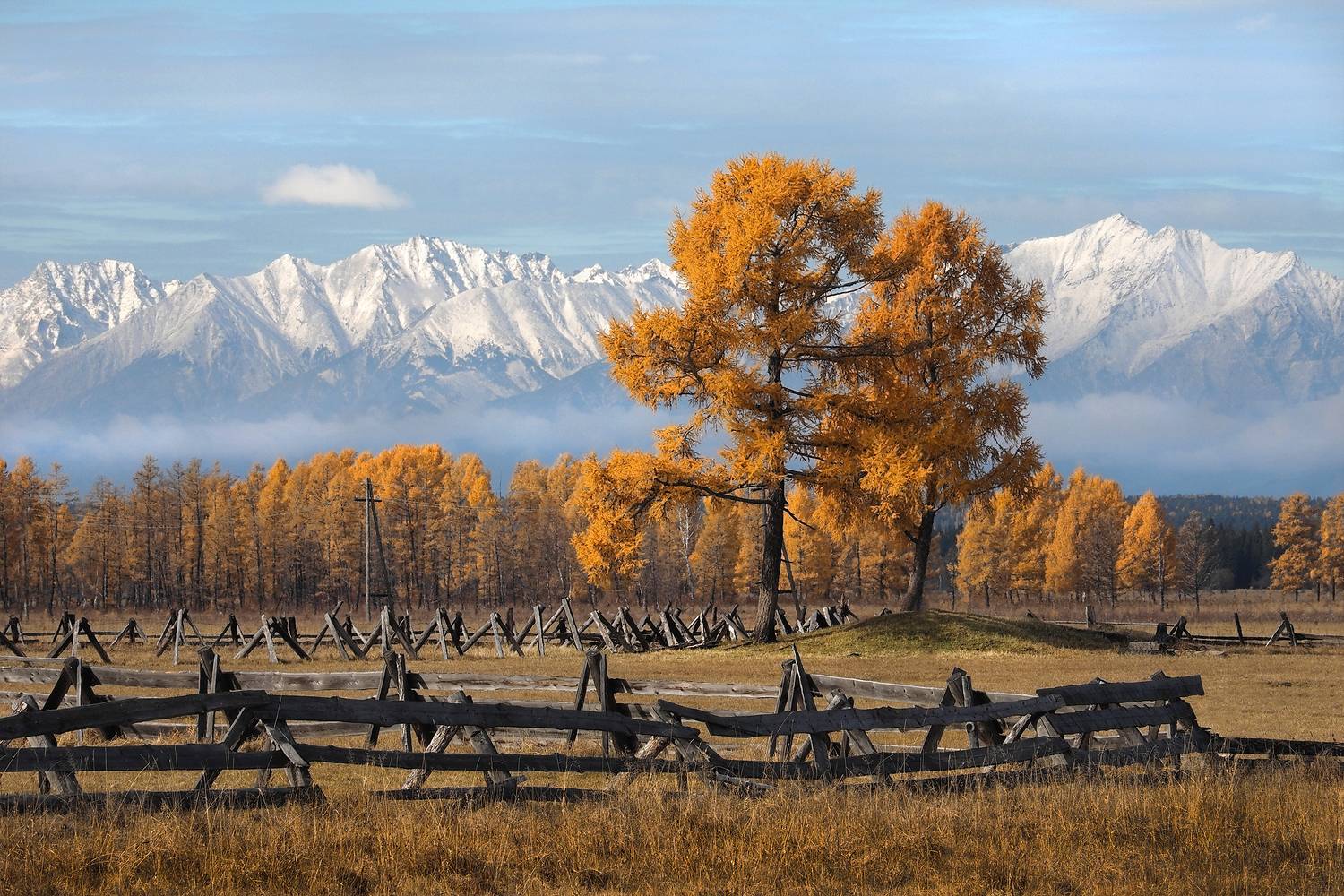 , Александр Попов