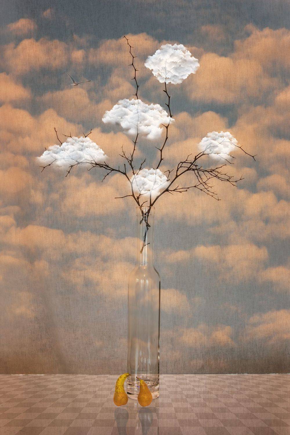 bird, blue, branches, bottle, cloud, clouds, collage, color, colors, concept, conceptual, digital, digital art, photo collage, photography, sky, still life, surreal, surrealism,, Dr Didi Baev