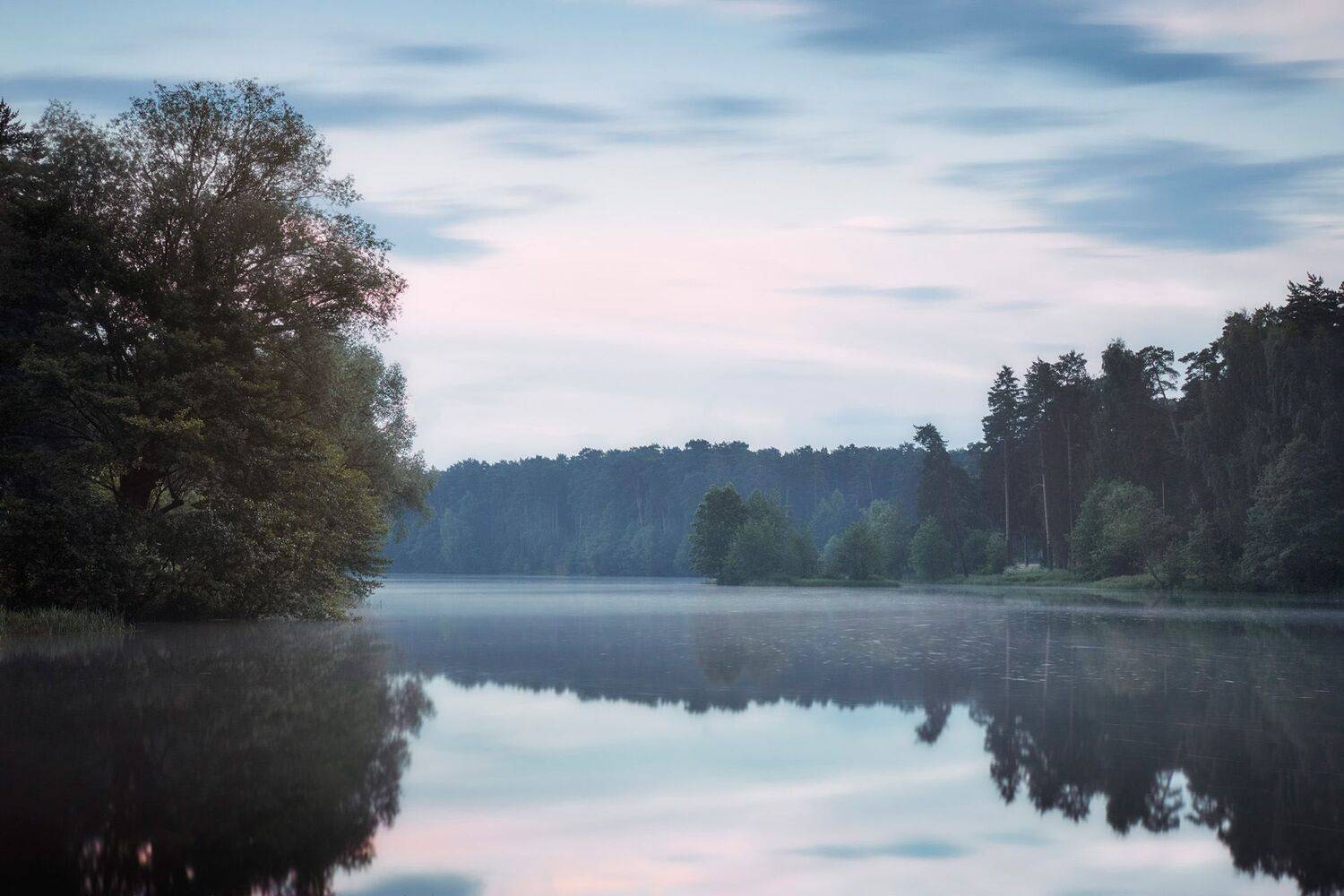 лес, туман, пейзаж, forest, woodland, summer, landscape, fog, Валерий Вождаев