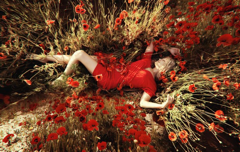 фотосессия в маках, маки, маковое поле Надежда на будущее фото превью