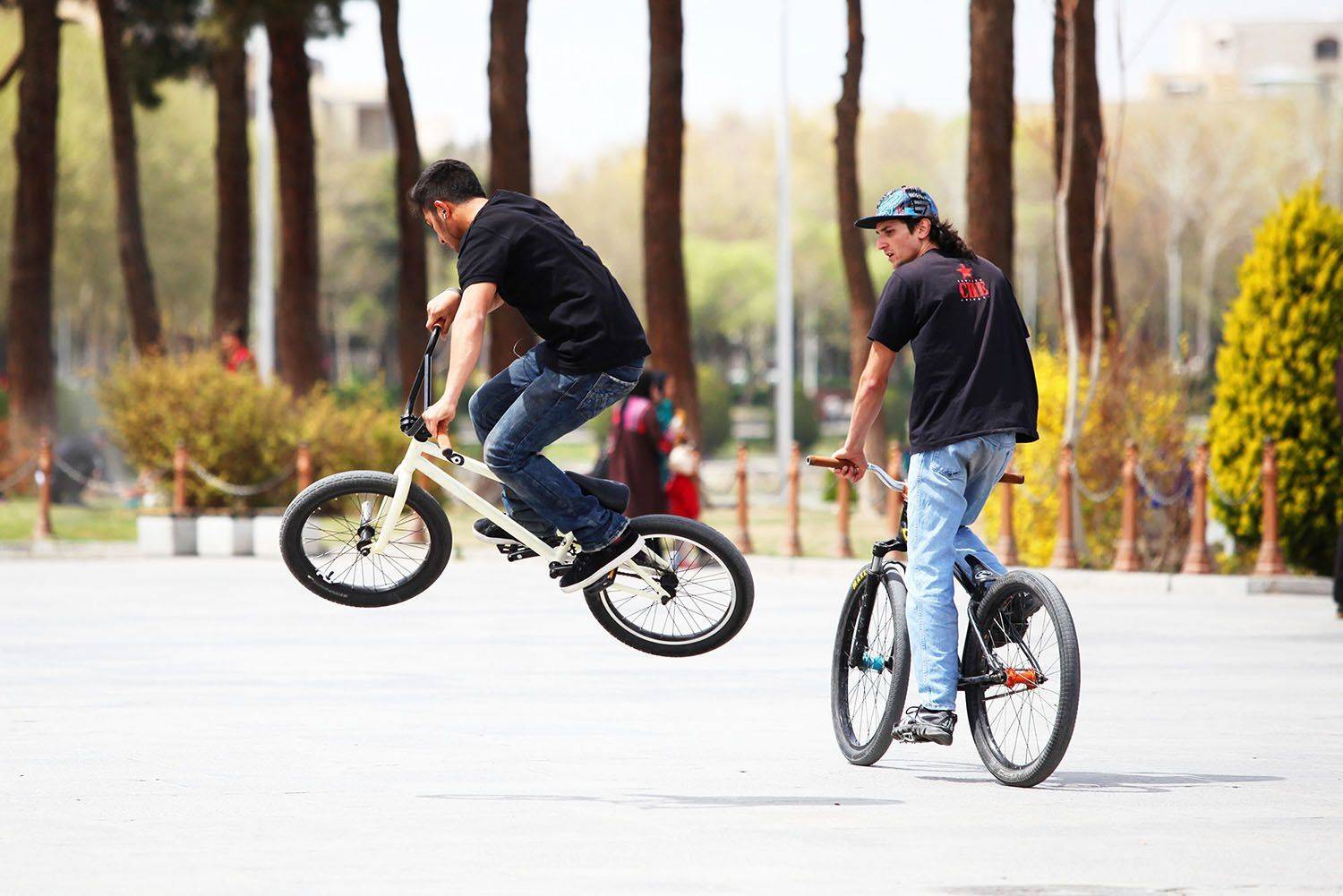 , mehdi karimi souderjani