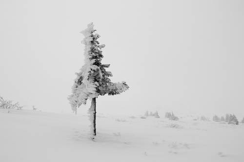 Там - There