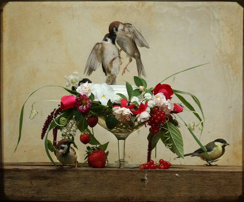 Натюрморт с полевыми воробьями