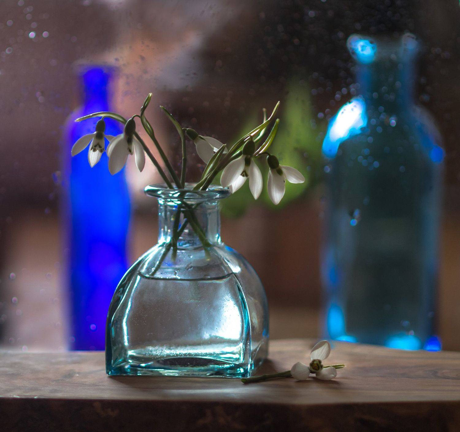 натюрморт,зима,цветы,этюд,подснежники,макро,свет,ваза,стекло,, Антонина Яновска