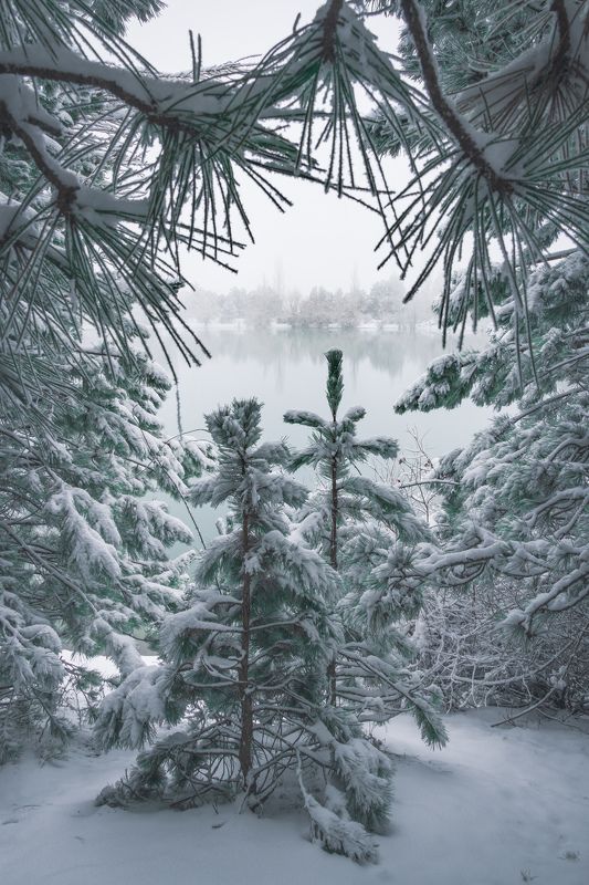 У Юлибейного озера фото превью