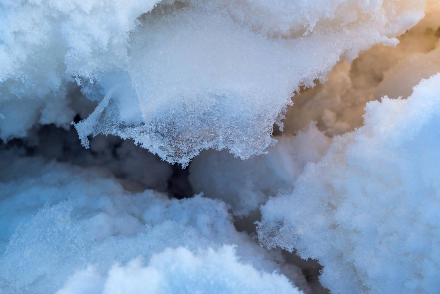 , Чепрасова Мария